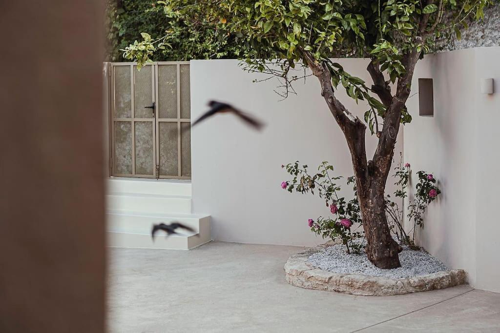 Lotusland, A Relaxing House At Amari Rethymno Villa Agia Fotini  Exterior photo
